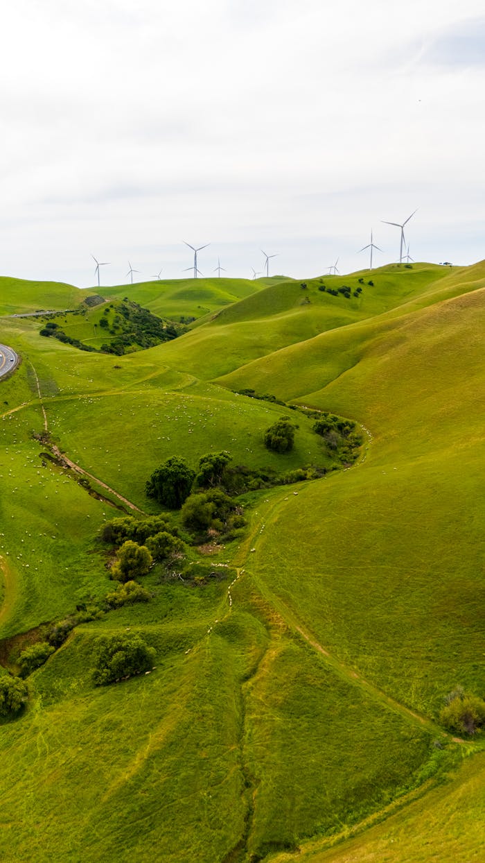 aerial-view-of-wind-turbines-on-green-rolling-hills-31635212